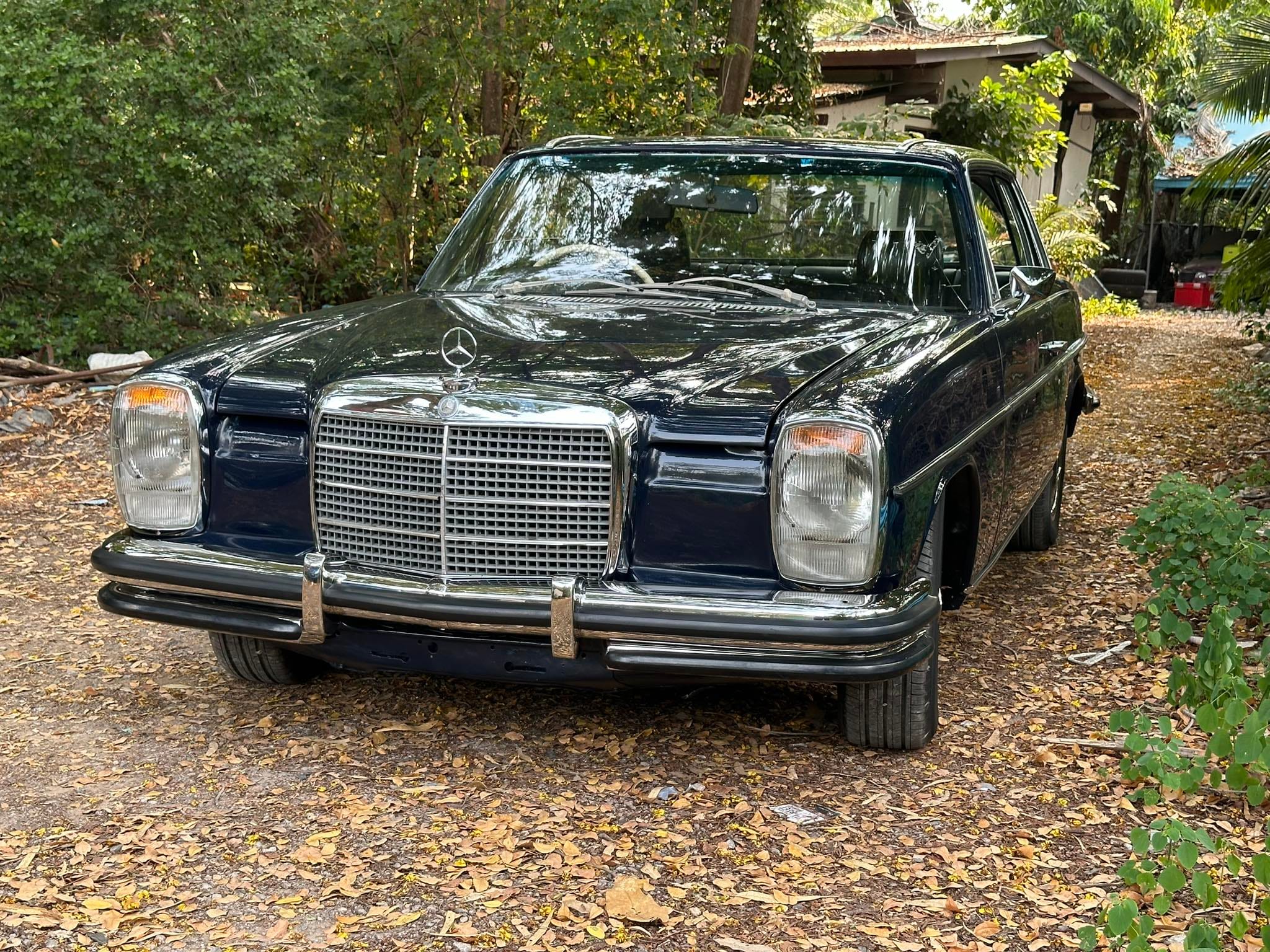 434789087_421600383800597_2607111336294327527_n